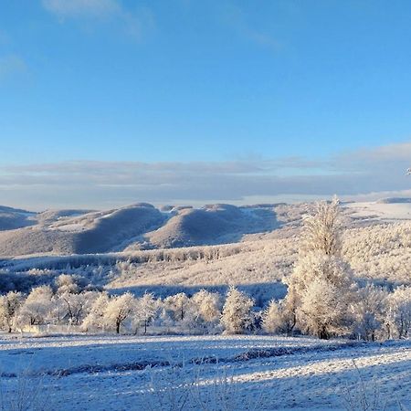 Nature Homestay Trenčín Exteriör bild