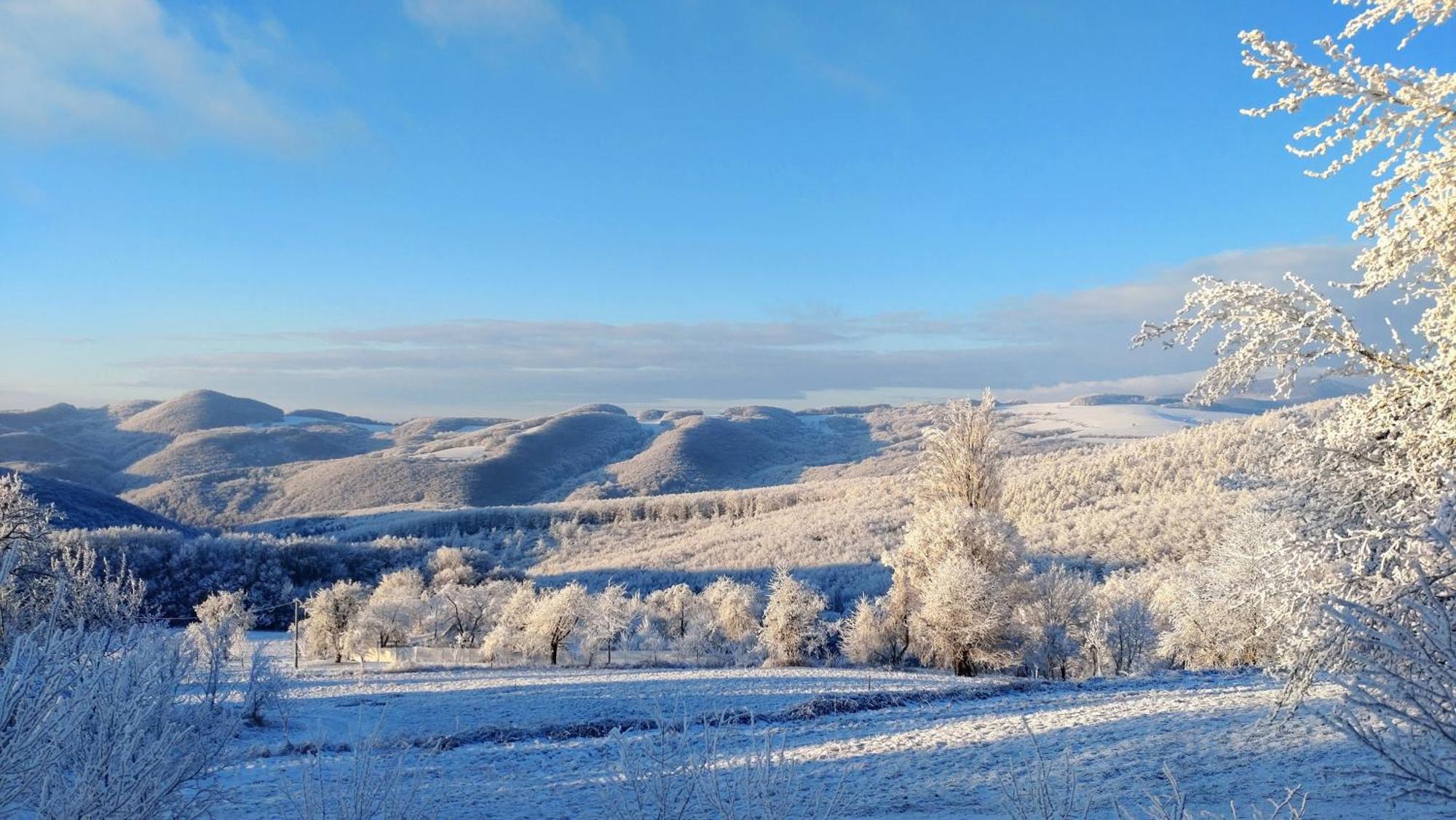 Nature Homestay Trenčín Exteriör bild